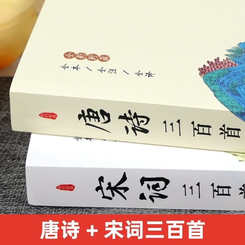 唐诗三百首宋词三百首正版全集完整版无删减300首带注释译文赏析附插图中国传统文化国学启蒙诗词鉴赏辞典课外阅读书籍古诗词-图0