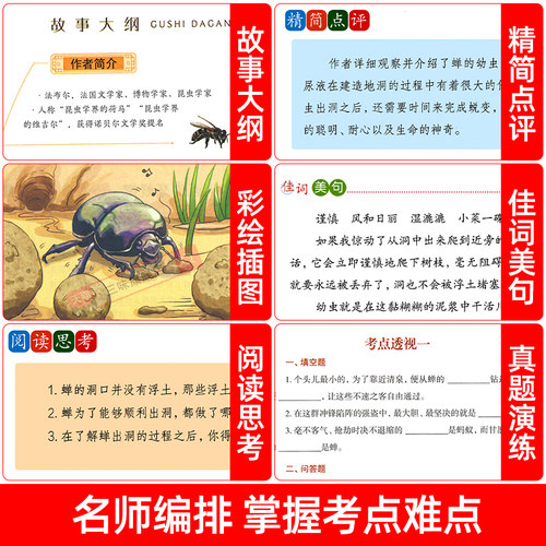 昆虫记正版原著完整版法布尔三年级必读正版的课外书3下推荐小学生课外阅读书籍四年级上册下册必读吉林出版社教育少儿美绘版人民4 - 图3