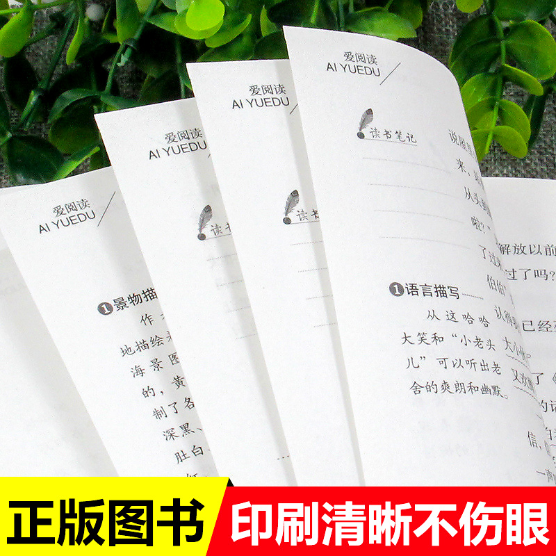 全套3册冰心儿童文学全集繁星春水正版包邮小桔灯寄小读者橘灯阅读书籍原著的作品散文集三四五六年级小学生课外书6-8-10-12岁 - 图0