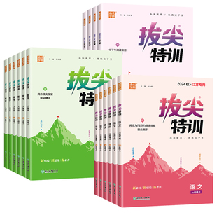 2025春新版小学拔尖特训1-6年级任选！