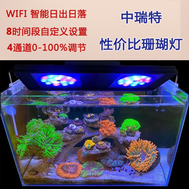 软体灯海水灯 新人首单立减十元 22年3月 淘宝海外