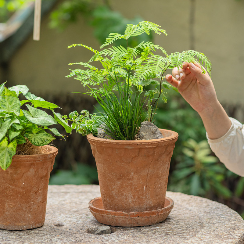 掬涵复古红陶花盆浮雕粗陶透气吸水多肉绿植种植花器庭院阳台装饰,淘宝优惠券,粉丝福利购,淘宝优惠卷