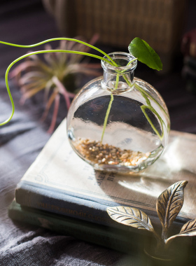 掬涵复古怀旧风玻璃器皿杂货花瓶