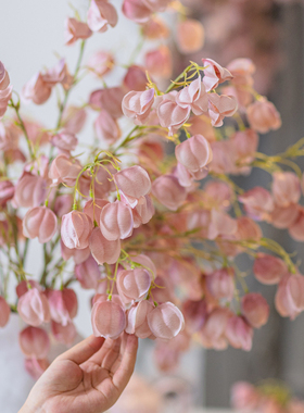灯笼果仿真花高级逼真假花摆设