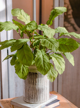 清新仿真油菜叶盆栽假花仿生绿植