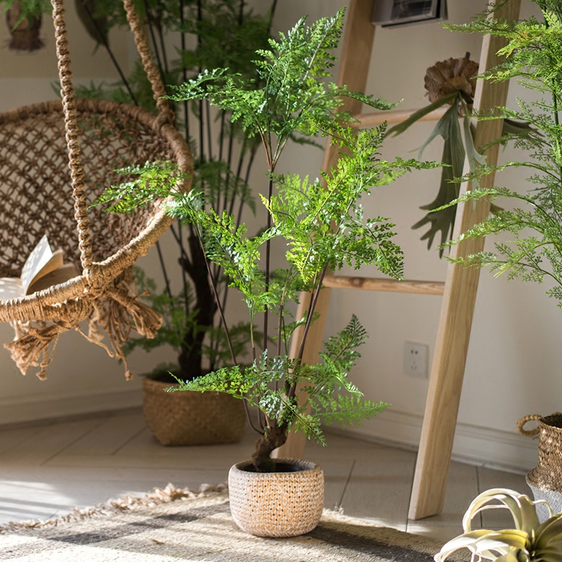 掬涵氧气蕨树仿真植物绿植花卉盆景树装饰摆件落地清新造景 - 图3