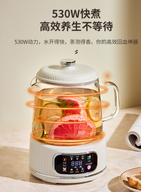 WIFER2026新款多功能养生壶