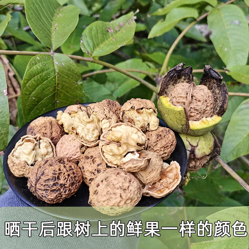 云南新货生核桃孕妇专用新鲜薄皮纸皮黑桃原味老树官方旗舰店烤干 - 图2