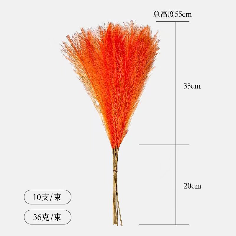网红仿真芦苇人造花蒲苇装饰烟花草摆件摄影道具商场美陈婚庆背景,淘宝优惠券,粉丝福利购,淘宝优惠卷