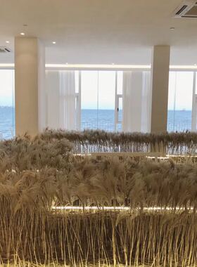 天然橱窗麦穗永生花束婚庆道具