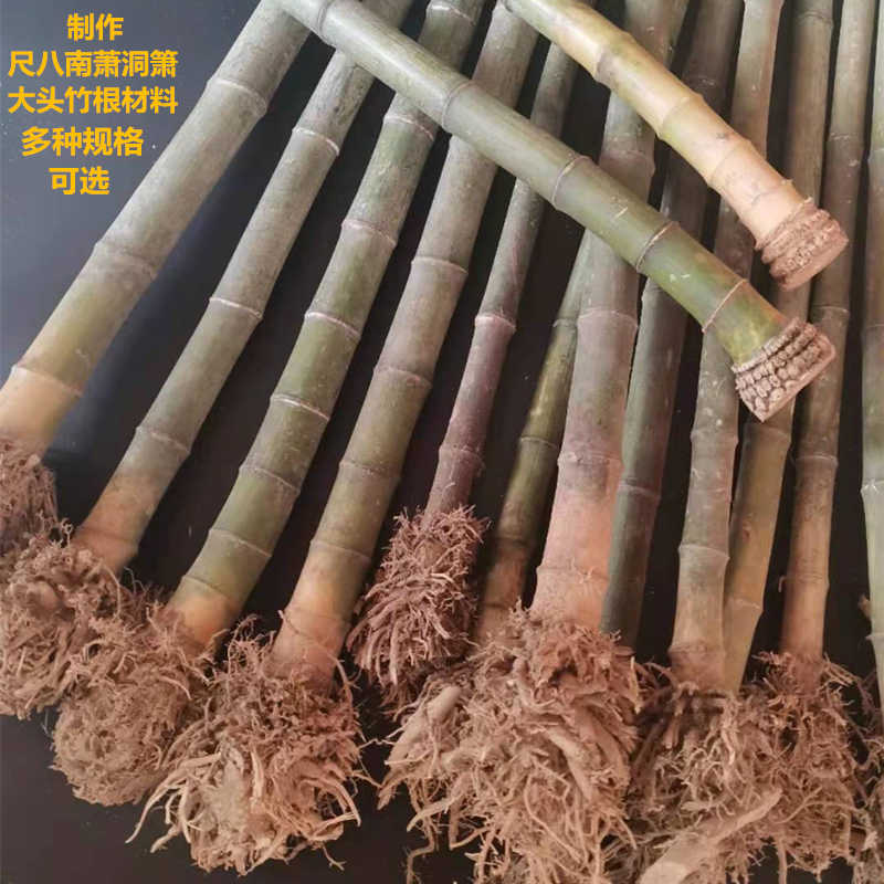 竹根料 新人首单立减十元 22年8月 淘宝海外