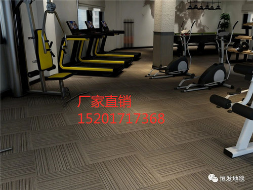 大面积条纹恒发LK1方块地毯卧室办公拼接商用写字楼商务楼博物馆 - 图1