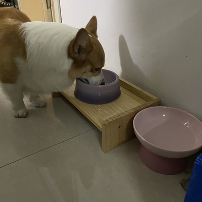 猫碗双碗饭盆陶瓷猫盆猫咪猫粮食盆水碗水盆狗碗餐桌宠物吃饭用品 - 图1