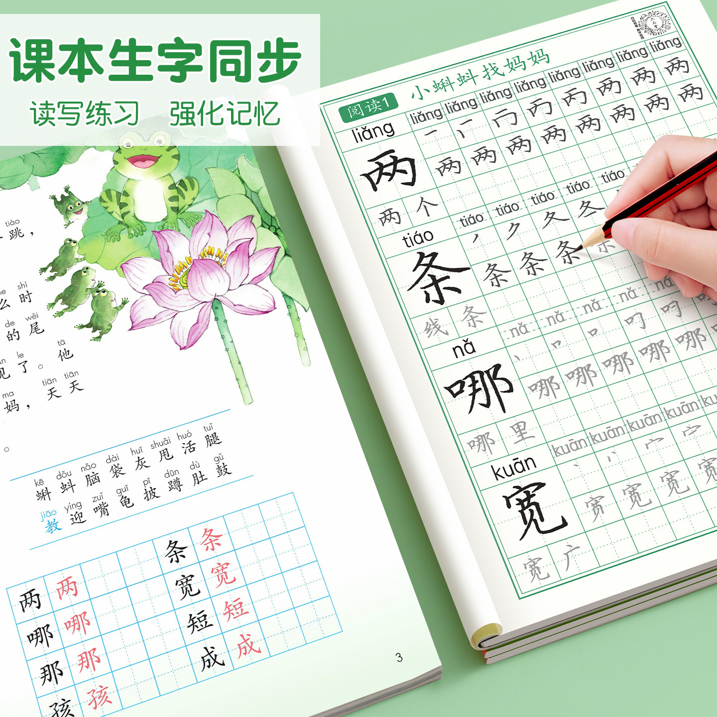 六品堂二年级上册练字帖小学生专用生字同步字帖语文一年级三年级四五六组词下暑假人教版楷书儿童正楷书法练字本笔画笔顺每日一练