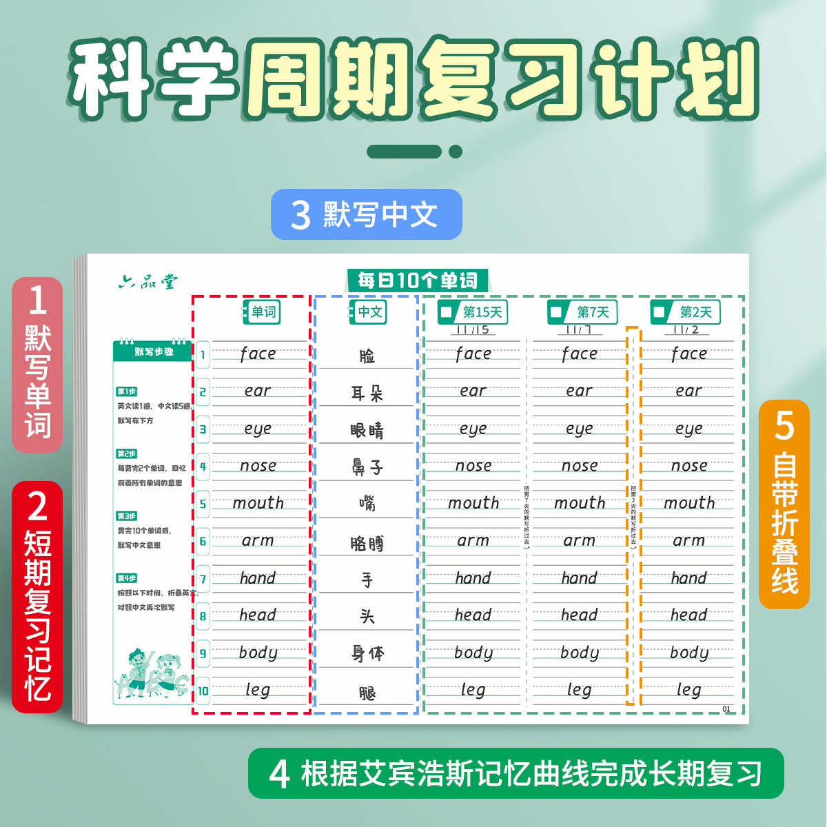 六品堂英语单词本记忆本小学生初中生单词速记背神器艾宾浩斯遗忘记忆曲线单词默写本三四年级背单词每日10词