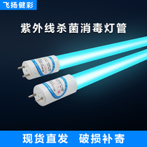 Jiangsu Feiyang Bodybuilding ULTRAVIOLET GERMICIDAL LAMP 30W36W MEDICAL HOME ZW30S19W DISINFECTION LAMP TUBE