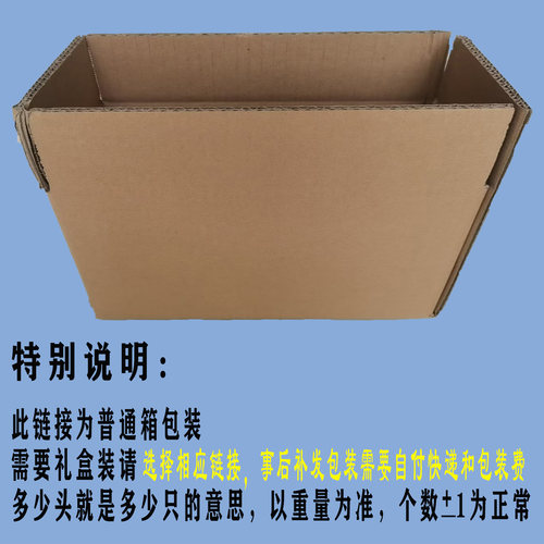 宜兴鲜百合食用土特产家用送人新鲜百合微苦软糯新鲜产地直发 - 图0