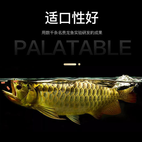 OF仟湖龙鱼饲料金龙鱼增色专用鱼食红龙鱼银龙鱼颗粒鱼食傲深G1G2 - 图2
