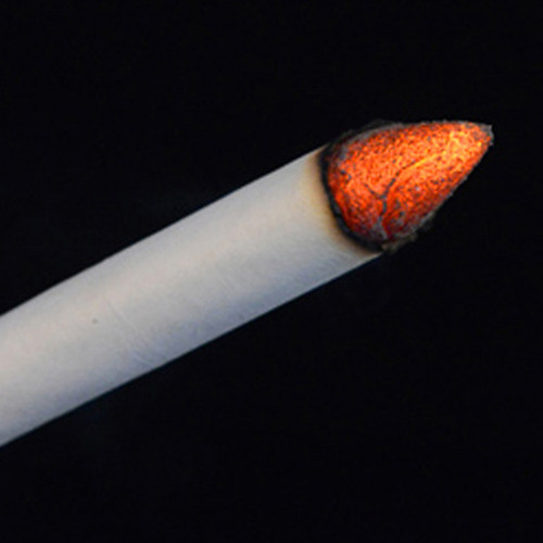 天然五年陈艾柱艾条金艾蕲艾灸条手工药艾草叶非无烟艾段南阳厂家 - 图1