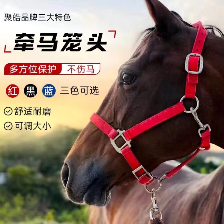 睿睿马具马笼头马龙头马具牵马调教龙头马术用品马笼套_虎窝淘