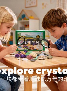 天然水晶原石套盒半宝石矿标玛瑙晶洞鲨鱼牙科普教学礼物