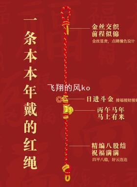马年红绳新款马年来财日进斗金红色手绳新中式手链转运好运绳