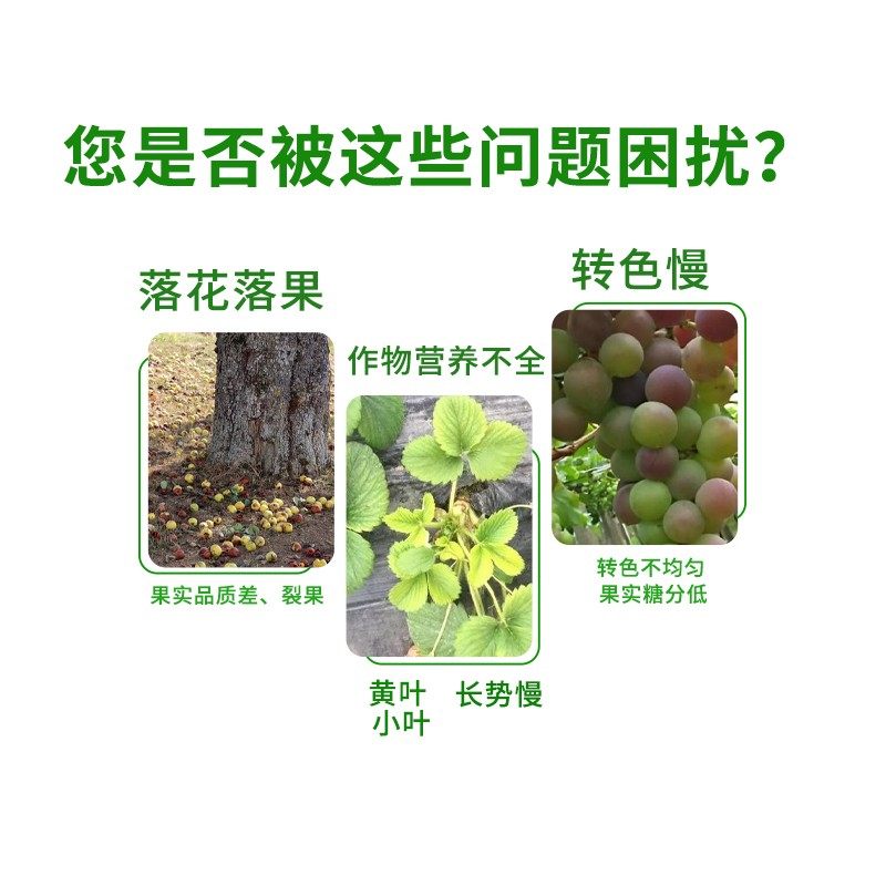 【源头工厂】钙镁硼锌铁微量元素喷施膨大果实农业种植增产厂家直,淘宝优惠券,粉丝福利购,淘宝优惠卷