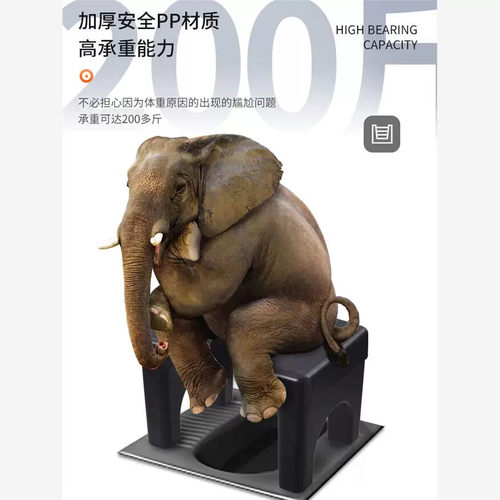 蹲便器坐架孕妇化妆室蹲厕坐便椅老人家用结实厕所凳子蹲坑神器 - 图2