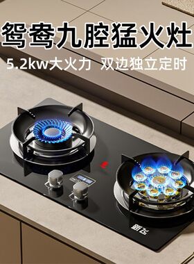 新飞天然气燃气灶家用嵌入式台式两用液化气双灶猛火灶具煤气双灶