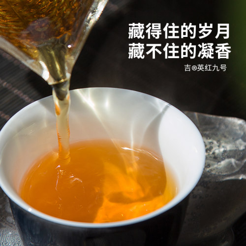 积庆里东方美人英红九号英德红茶9号工夫茶广东特产罐装散装75g - 图2