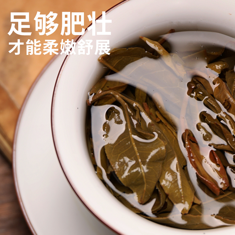 【买1送1】积庆里英德红茶英红九号浓香型有机红茶广东特产共450g