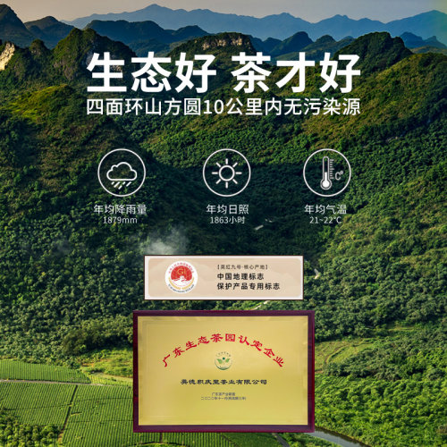 积庆里东方美人英红九号英德红茶9号工夫茶广东特产罐装散装75g - 图3