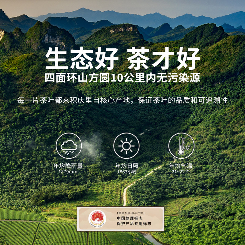  积庆里其它红茶