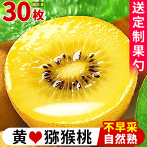 Sichuan Yellow Heart Macaque Peach 30 Pieces Fresh Super Sweet Great Fruits When Season Now Picking Kiwifruit Pregnant Women Fruit Whole Boxes