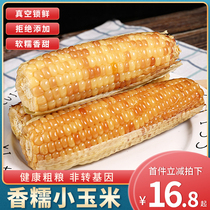 Yunnan Xishuangbanna Fragrant Glutinous Millet Corn 5 Catty New Flowers Glutinous Corn Vacuum Sweet And Sticky Corn Stick Meal Ready-to-eat