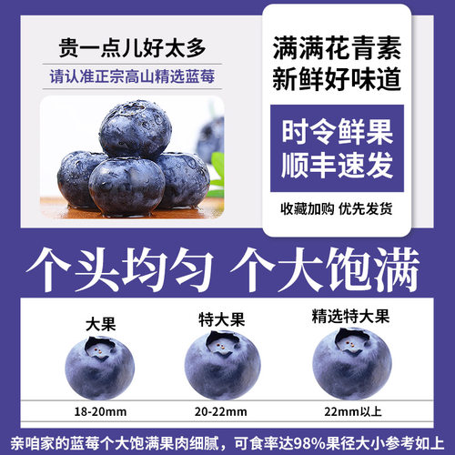 云南高山蓝莓鲜果当季怡颗蓝莓高山L25花香新鲜水果现摘顺丰京东3 - 图2