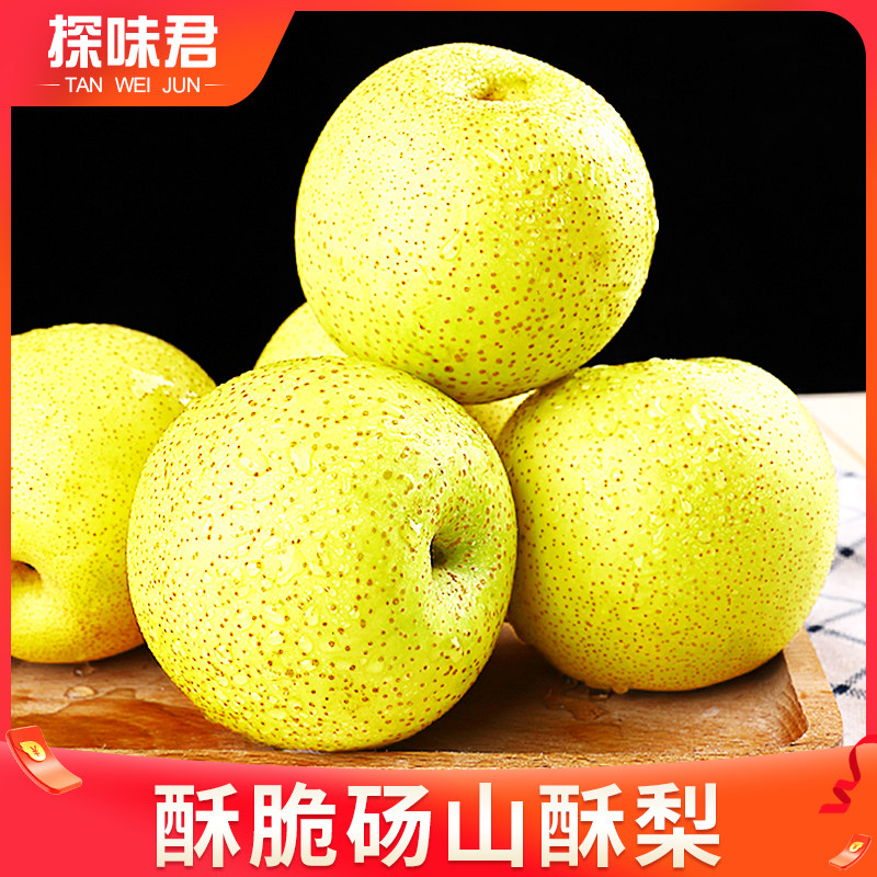  探味君梨