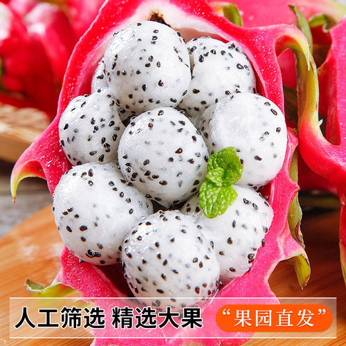 白心火龙果新鲜当季热带水果9斤越南进口白肉火龙果孕妇整箱包邮5 - 图2