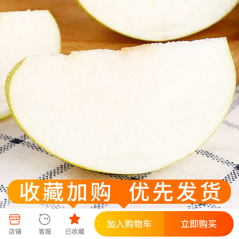  探味君梨