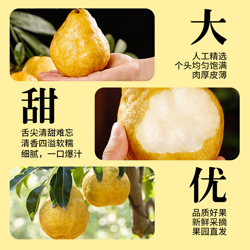 正宗中华丑梨山东烟台莱阳梨软糯香甜太婆梨啤梨当季新鲜水果整箱,淘宝优惠券,粉丝福利购,淘宝优惠卷