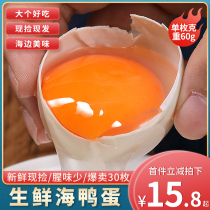 Guangxi Beibu Gulf Beibu Gulf Mangrove Authentic Fresh Raw Sea Duck Egg Farmhouse Red Heart Raw Duck Eggs 30 Loaded Eggs