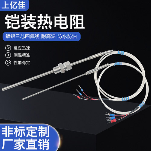 进口PT100铠装热电阻/WZPK-191/针形铂热电阻/探针热电阻/热电偶 - 图0