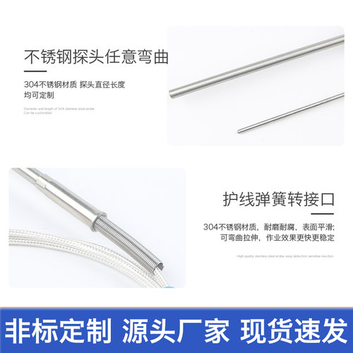 进口PT100铠装热电阻/WZPK-191/针形铂热电阻/探针热电阻/热电偶 - 图2