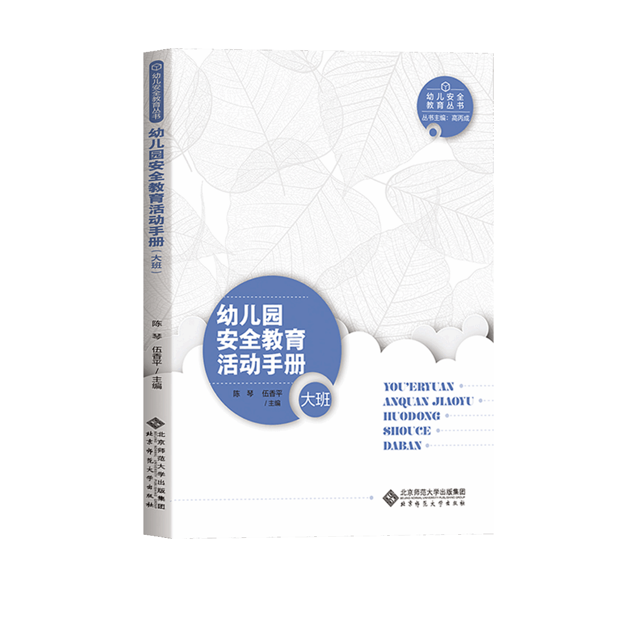 幼儿园安全教育活动手册（大班）陈琴伍香平主编幼儿安全教育丛书北京师范大学出版社大班安全教育案例精选与活动指南-图1
