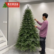 Pure Pe Christmas Tree Home Christmas Photo Photography Decoration Emulation Pine Beauty Prints PE Emulation Tree Christmas Tree Decorations