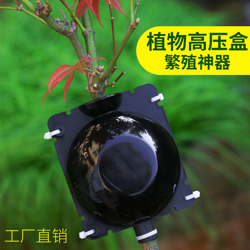 植物高压盒扦插嫁接生根器育苗果树树木高空压枝压条无性繁殖球盒-图2