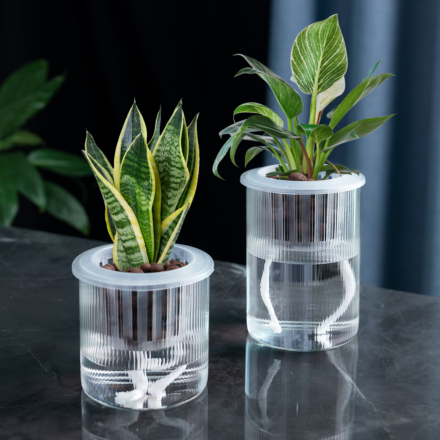 懒人花盆植物水培高硼硅玻璃透明直筒家用简约圆柱花瓶绿萝吸水,淘宝优惠券,粉丝福利购,淘宝优惠卷