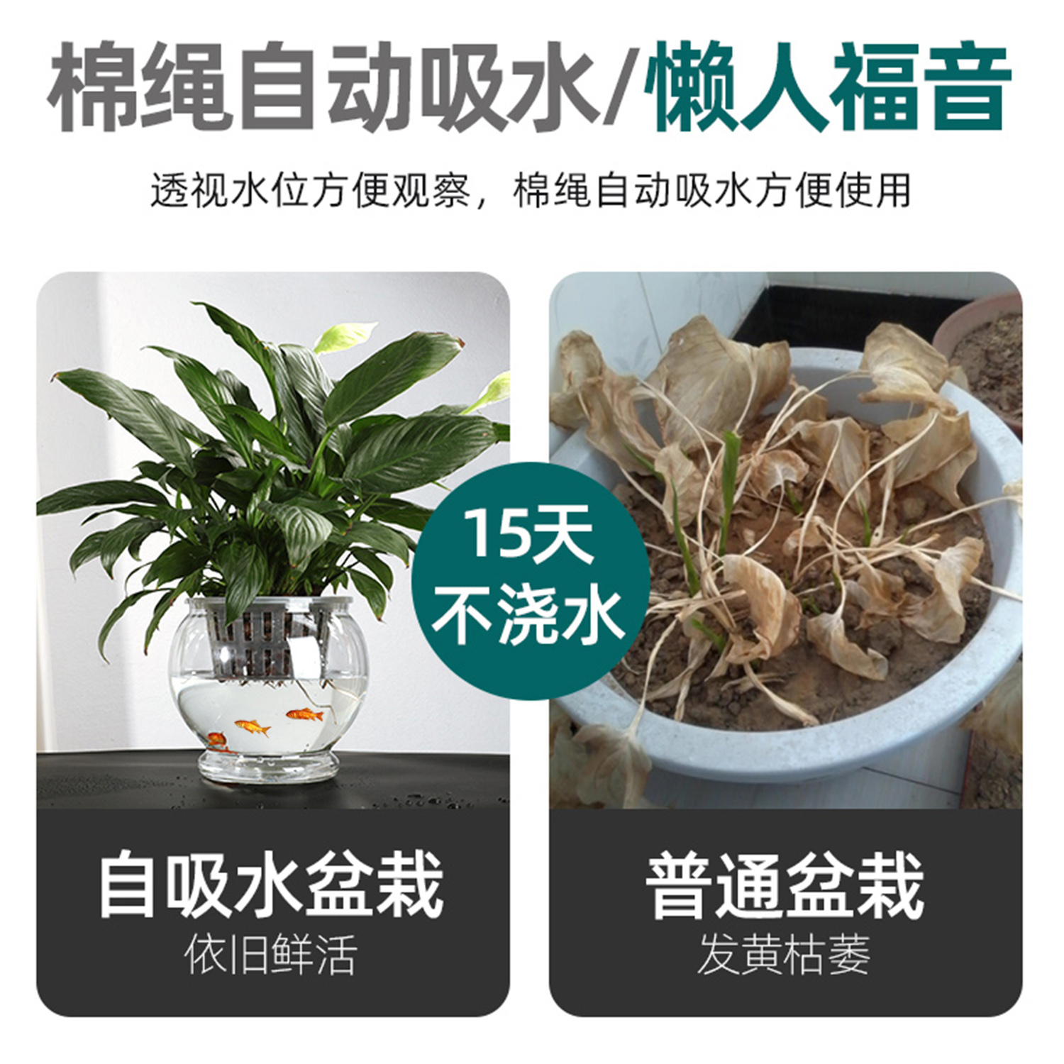 懒人自动吸水花盆透明圆形清仓塑料盆简约仿陶瓷绿萝室内水培花盆 - 图2