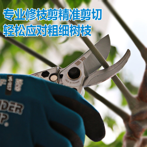 安藤台湾粗枝剪园艺剪刀园林剪果树专用剪果树修枝剪刀 - 图0
