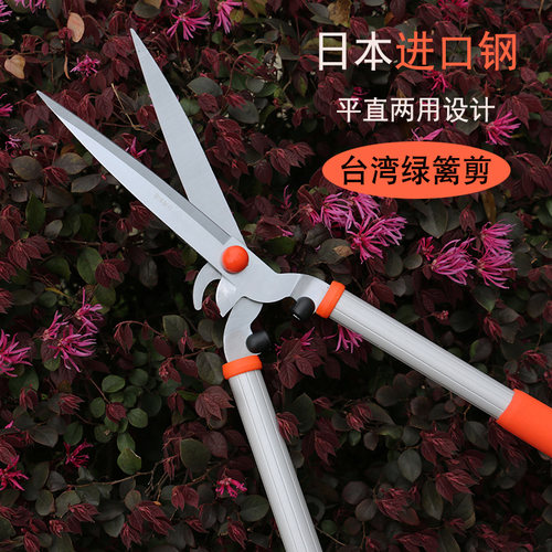 进口园艺剪刀草坪园林绿篱笆花剪花木剪修枝剪树枝剪刀绿化修剪刀 - 图0